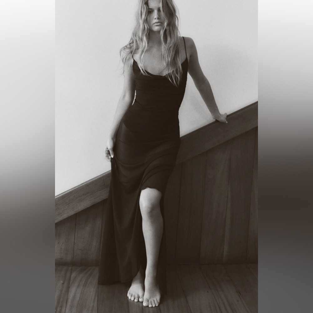 Zara dress